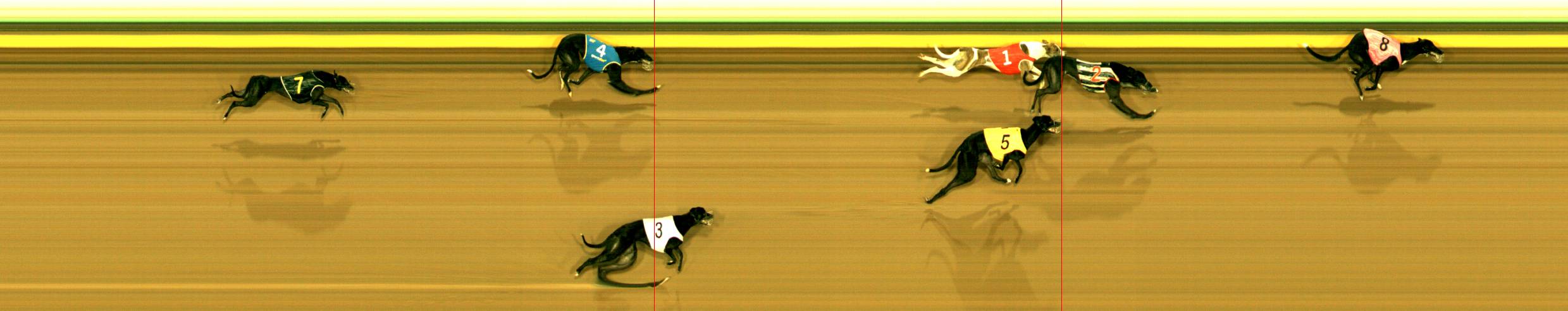 Race result finish photo
